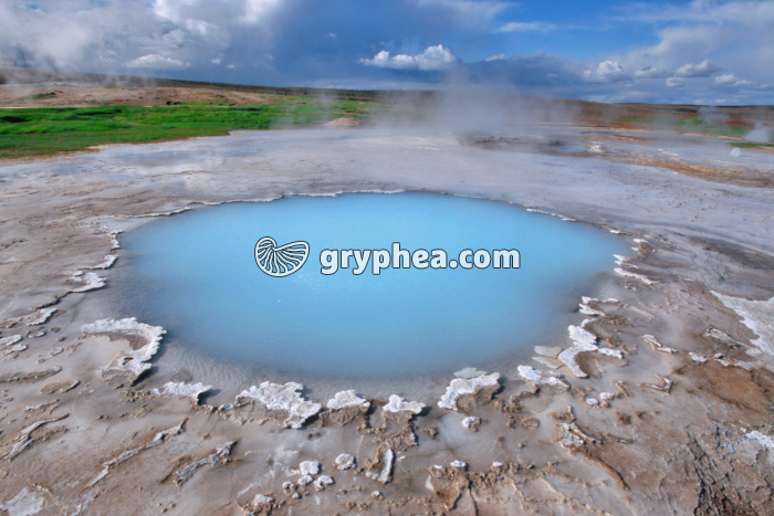 Source hydrothermale (Islande) - gryphea.org